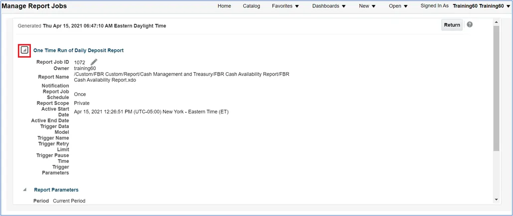 Detailed view of a specific report job showing parameters and metadata like report name, schedule, and trigger information, with a checkbox highlighted next to the job name.