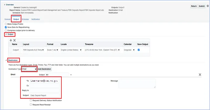 Email output settings screen in a report scheduling interface. The 'Output' tab is selected. Under 'Destination', 'Email' is chosen as the type, and an email address is entered in the 'To' field. The subject is 'Daily Deposit Report'.