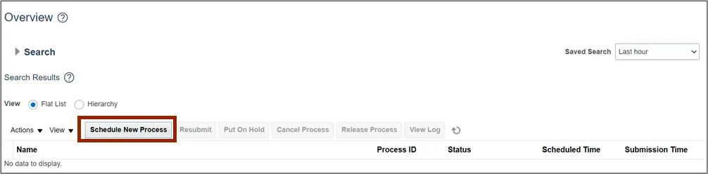 Schedule New Process button on the Schedule Processes Overview page