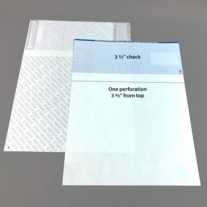 This image shows a blank check stock layout used by the State of North Carolina.